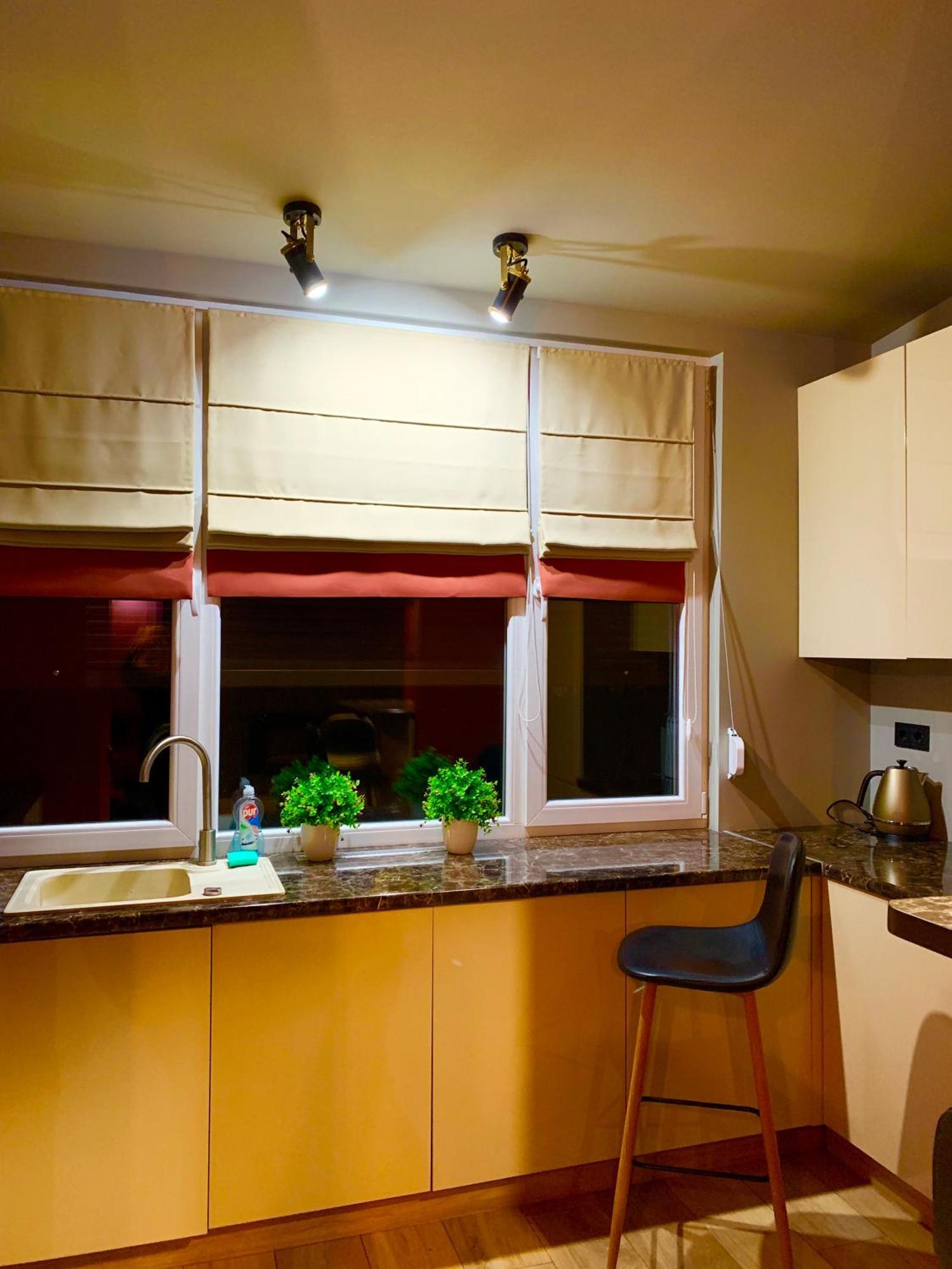 Apartments Lux In City Center Lviv Eksteriør billede